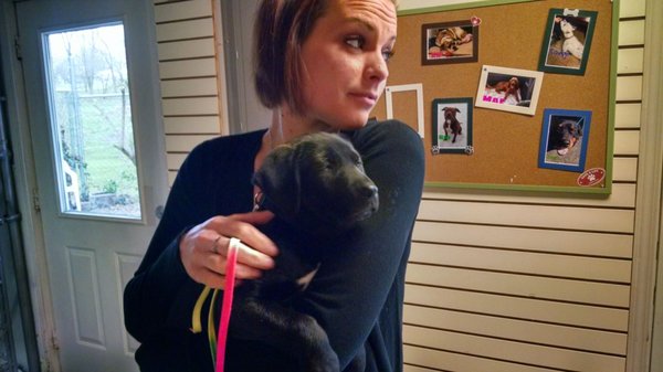 elkhound ranch kennel