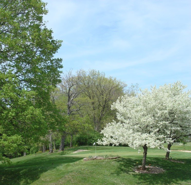 MEADOWBROOK AT CLAYTON Updated August 2024 27 Photos 6001 Salem Ave, Clayton, Ohio Golf