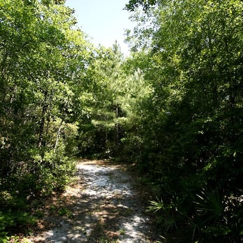 Mill Creek Preserve - A trail in Mill Creek Preserve. - Hiking Near Me - Alachua, Florida Mill Creek Preserve - A trail in Mill Creek Preserve. - Hiking Near Me - Alachua, Florida