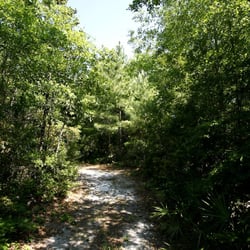 Mill Creek Preserve - A trail in Mill Creek Preserve.