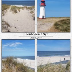 Ellenbogen