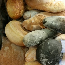 Panificio Cocciardi