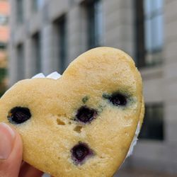B+B Bakery