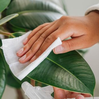 Saving Maids - "It's the perfect time to clean your leaves!"
#winter #leaves #house#savingsmaid - Home Cleaning Near Me - Huntsville, Alabama Saving Maids - "It's the perfect time to clean your leaves!"
#winter #leaves #house#savingsmaid - Home Cleaning Near Me - Huntsville, Alabama