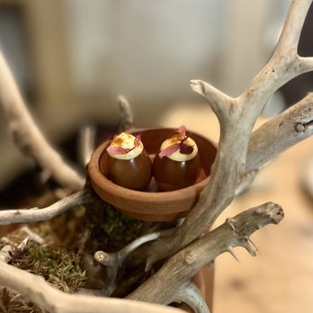 The Pine - three chocolate eggs in a terrarium - Canadian (New) Near Me - Creemore, Ontario The Pine - three chocolate eggs in a terrarium - Canadian (New) Near Me - Creemore, Ontario