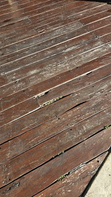 Occidental at Xcaret Destination by null