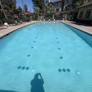 Rancho Monterey Apartment Homes - The dirt and hair in the pool - Apartments Near Me - Tustin, California Rancho Monterey Apartment Homes - The dirt and hair in the pool - Apartments Near Me - Tustin, California