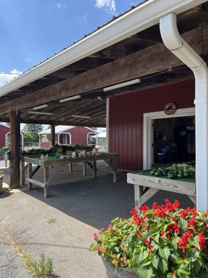 Homestead Farm by null