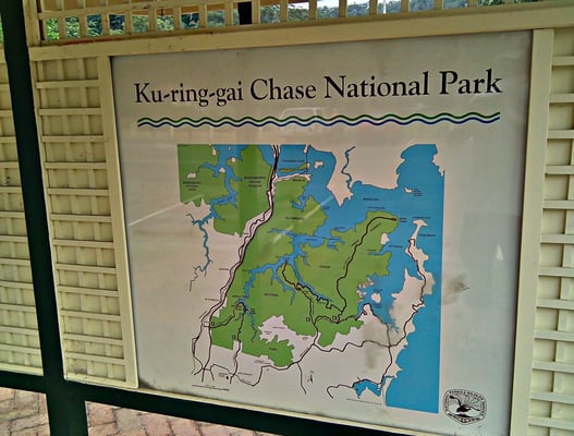 Ku-ring-gai Chase National Park by null