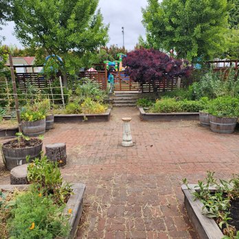 Park Day School - The garden - Elementary Schools Near Me - Oakland, California Park Day School - The garden - Elementary Schools Near Me - Oakland, California