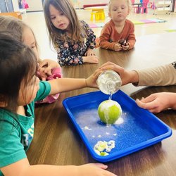 Five Star Life Early Learning Center - Science experiments!