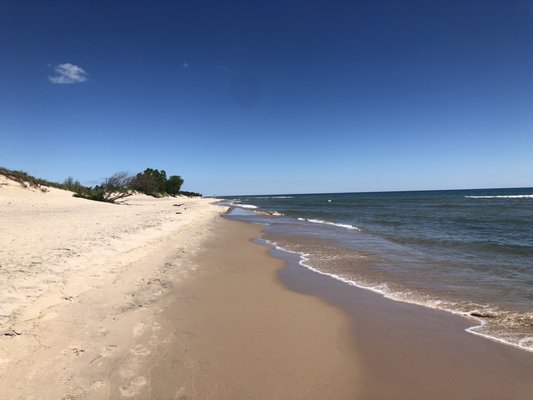 Kohler-Andrae State Park by null
