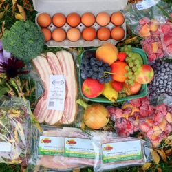 Old Strathcona Farmer's Market