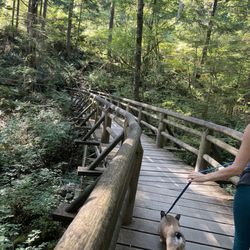 Capilano River Regional Park