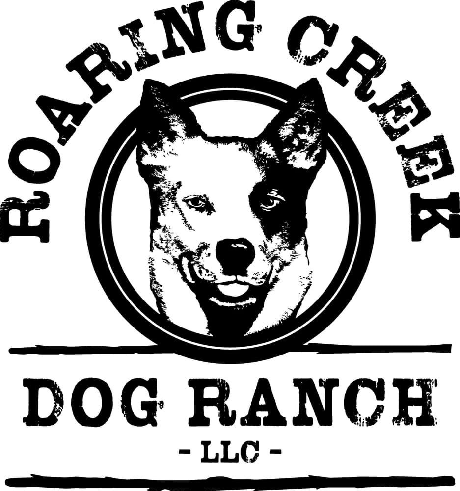 ROARING CREEK DOG RANCH Updated October 2024 46632 SE Mt Si Rd
