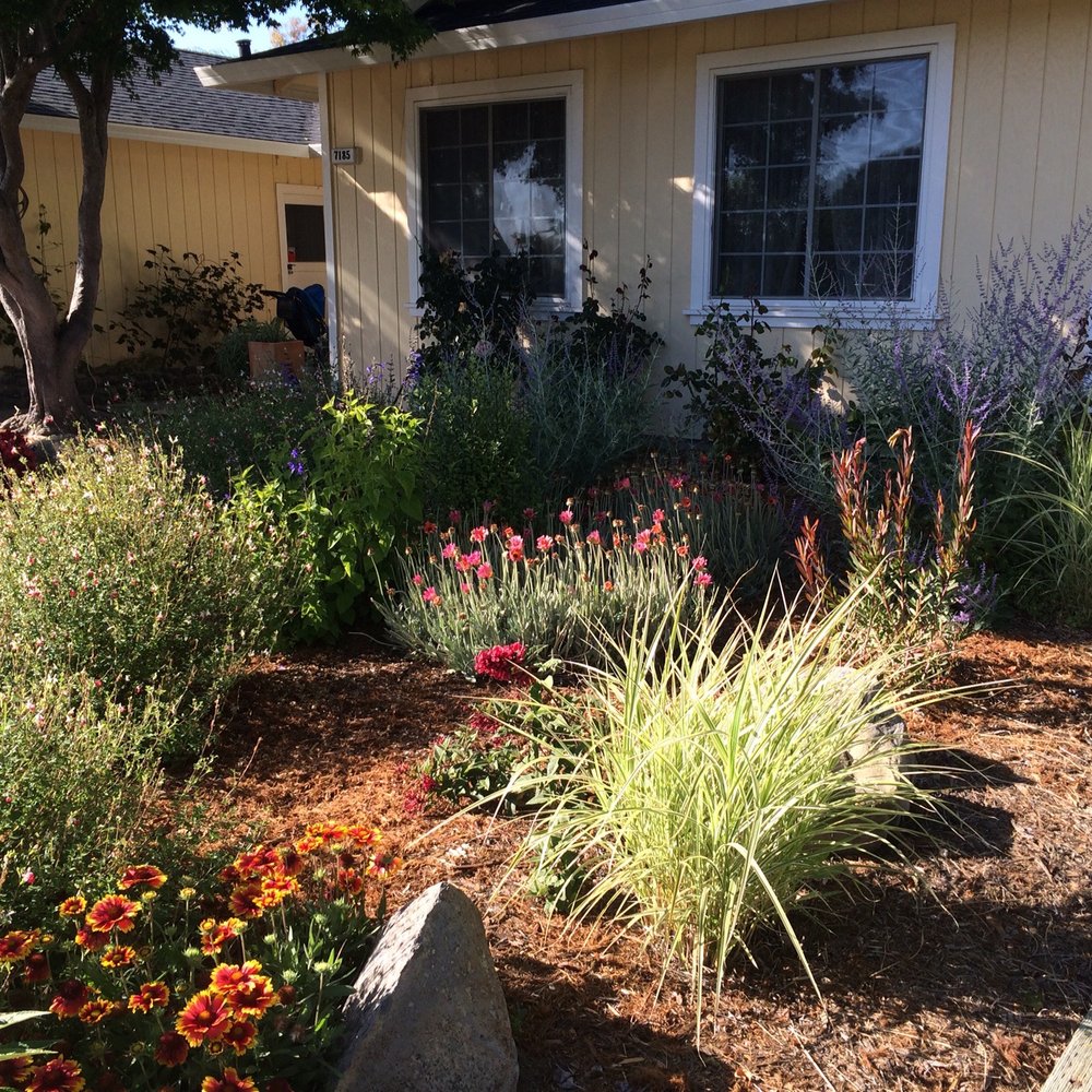 Local Landscapers - the front yard of a home - Landscape Architects or Designers Near Me Local Landscapers - the front yard of a home - Landscape Architects or Designers Near Me