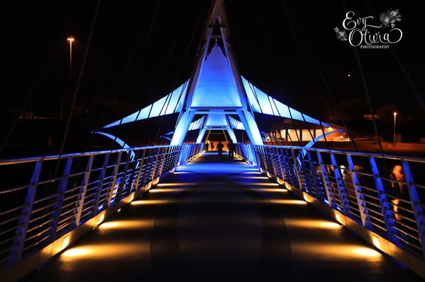 Tempe Center For The Arts by null