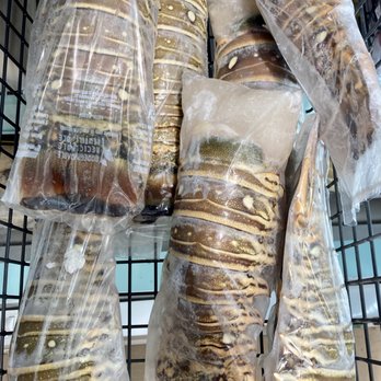 Shell Shack - a rack of bread wrapped in plastic - Seafood Markets Near Me - Mexico Beach, Florida Shell Shack - a rack of bread wrapped in plastic - Seafood Markets Near Me - Mexico Beach, Florida