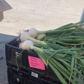 Hayashi Vegetable Stand - Scallions/cebolla verde. - Fruits & Veggies Near Me - Oceano, California Hayashi Vegetable Stand - Scallions/cebolla verde. - Fruits & Veggies Near Me - Oceano, California