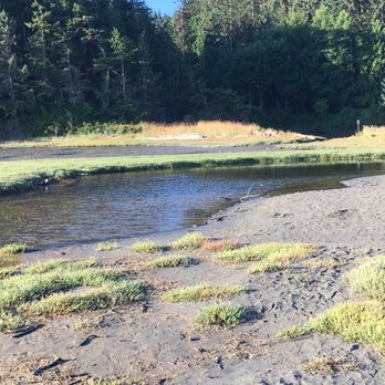 Dungeness National Wildlife Refuge - Parks Near Me - Sequim, Washington Dungeness National Wildlife Refuge - Parks Near Me - Sequim, Washington