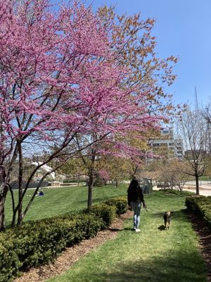 Turner Park by null