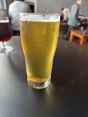 Jellyfish Brewing Company - Georgetown by null