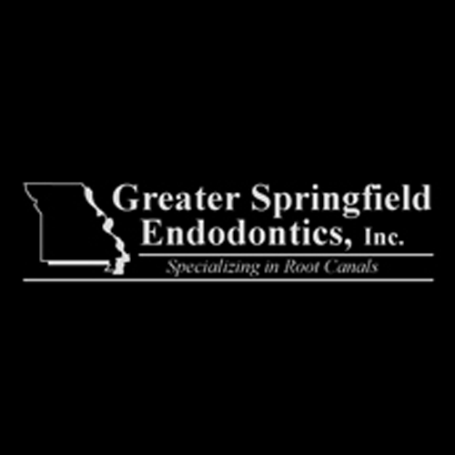 GREATER SPRINGFIELD ENDODONTICS 15 Photos 2808 S Ingram Mill Rd