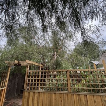 Marcelino's Tree Service - Before - Tree Services Near Me - Hemet, California