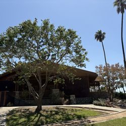 Cal Beaver Tree Service