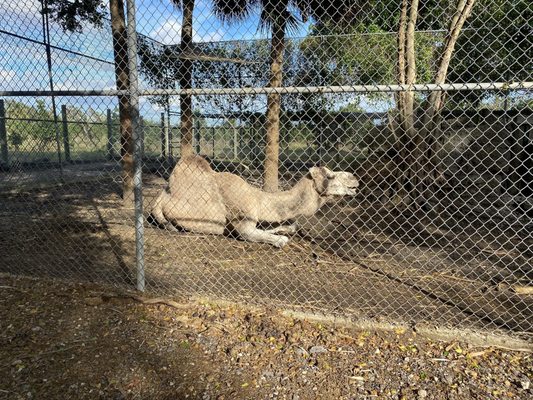 Everglades Outpost by null