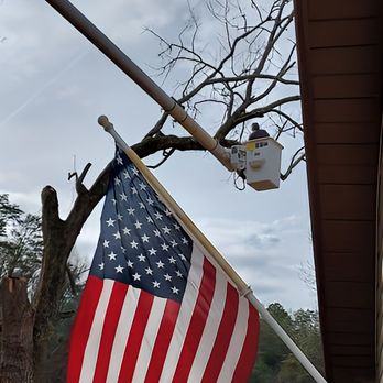 Antonio's Tree Service - Tree Services Near Me Antonio's Tree Service - Tree Services Near Me