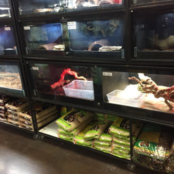 Reptile Island - Pet Stores Near Me - Stanton, California