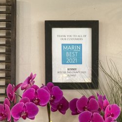 WINNER! Best In County - Florist. Marin Magazine 2021