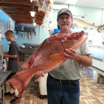 Pelican Point Seafood - Hogfish - Seafood Near Me - Tarpon Springs, Florida Pelican Point Seafood - Hogfish - Seafood Near Me - Tarpon Springs, Florida
