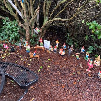 Patterson's Pub - Gnome Garden out back - American Near Me - Mendocino, California Patterson's Pub - Gnome Garden out back - American Near Me - Mendocino, California