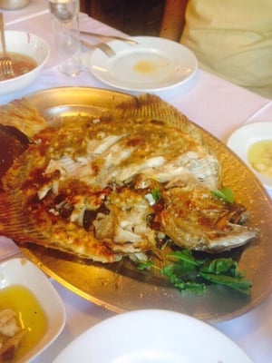 Balıkçı Kahraman by null