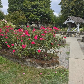 Point Defiance Park - Roses - Parks Near Me - Tacoma, Washington Point Defiance Park - Roses - Parks Near Me - Tacoma, Washington