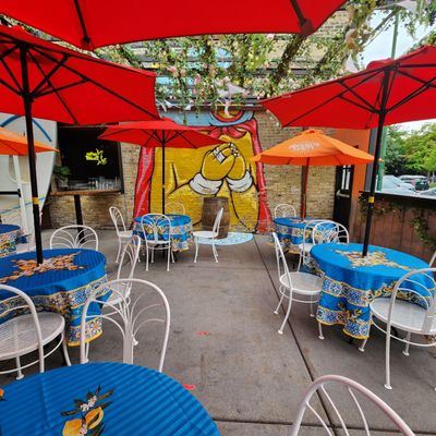 Neon Gardens by null