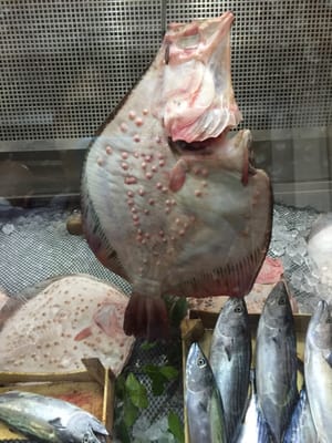 Balıkçı Kahraman by null