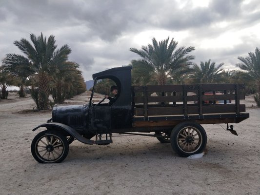 NAKED DATES - Updated November 2025 - 32 Photos & 16 Reviews - 13589 S