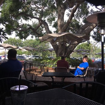 Inkas - Giant tree is so pretty - Peruvian Near Me - Irvine, California Inkas - Giant tree is so pretty - Peruvian Near Me - Irvine, California