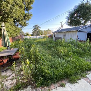 White Valley Tree Services - Tree Services Near Me - pasadena , California White Valley Tree Services - Tree Services Near Me - pasadena , California