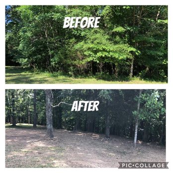 Triangle Brush Control & Land Management - One of our awesome property transformations! - Tree Services Near Me Triangle Brush Control & Land Management - One of our awesome property transformations! - Tree Services Near Me