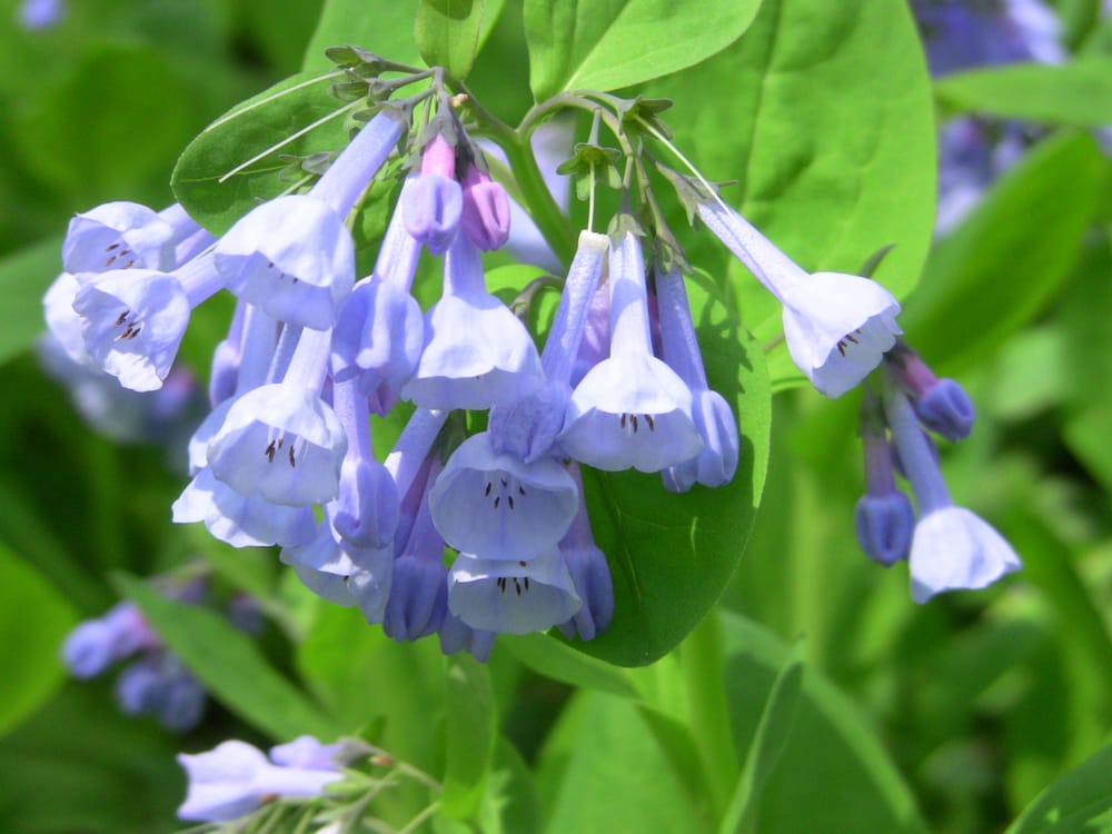 Social spots from Audubon Wetlands Preserve