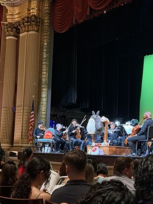 Hawaii Theatre by null