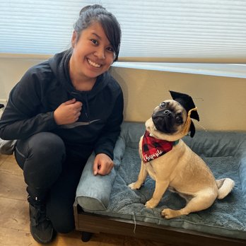 PupScouts Dog Training - Pet Training Near Me PupScouts Dog Training - Pet Training Near Me