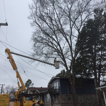 Karol's Tree Service - Tree Services Near Me - Nashville, Tennessee Karol's Tree Service - Tree Services Near Me - Nashville, Tennessee