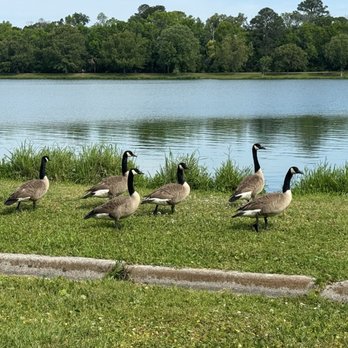 Lake Mayer Park - Parks Near Me - Savannah, Georgia