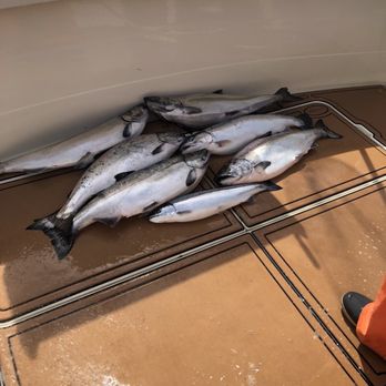 Kinns Sport Fishing - Salmon and steelhead trout. - Tours Near Me - Algoma, Wisconsin Kinns Sport Fishing - Salmon and steelhead trout. - Tours Near Me - Algoma, Wisconsin