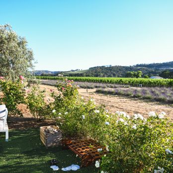 Village 360 - Wine Tasting Room Near Me - Fairfield, California